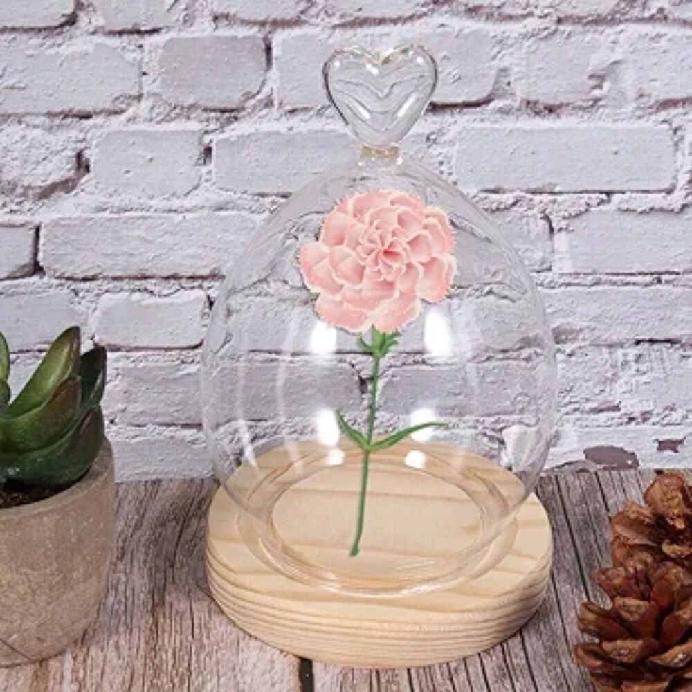 Small Glass Display Cloche NEW